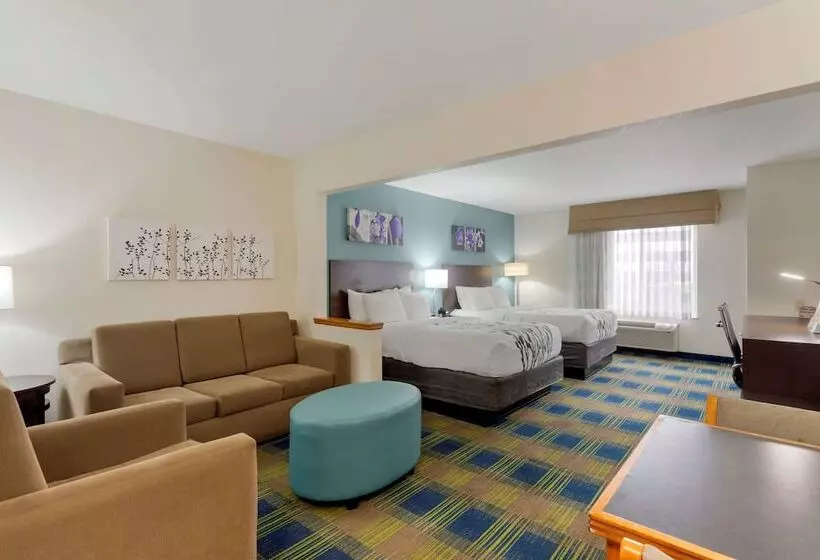 ホテル Sleep Inn & Suites Smyrna   Nashville