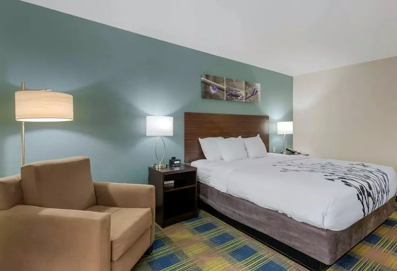 ホテル Sleep Inn & Suites Smyrna   Nashville