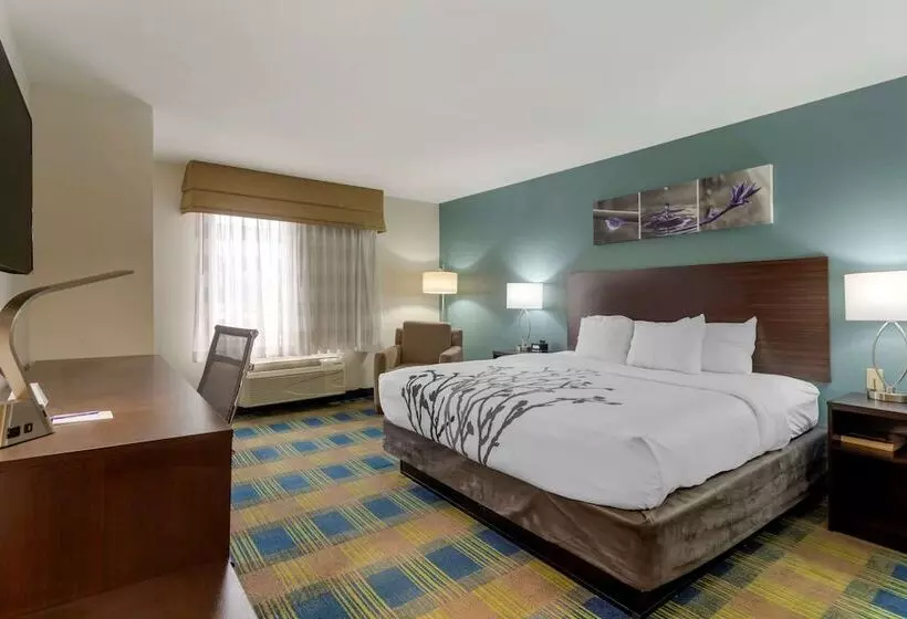 ホテル Sleep Inn & Suites Smyrna   Nashville