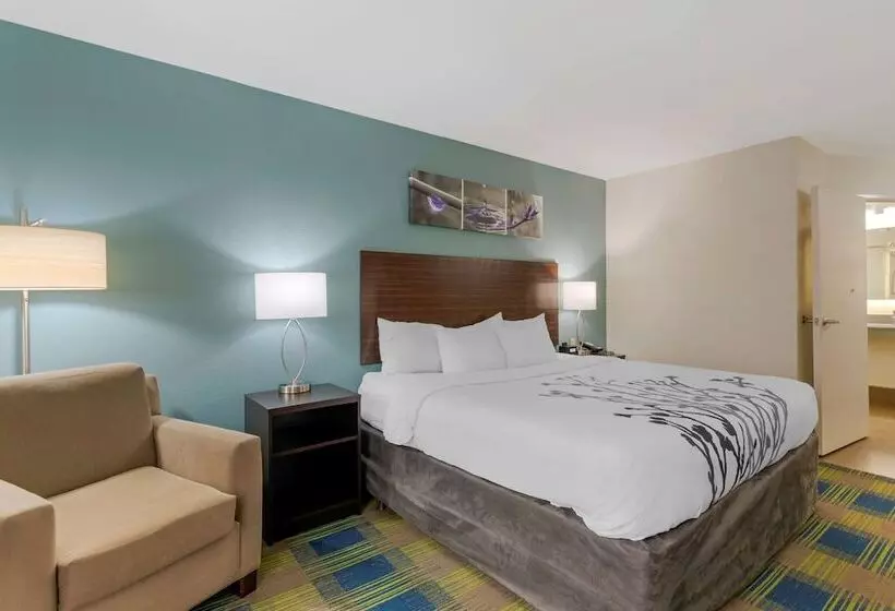 ホテル Sleep Inn & Suites Smyrna   Nashville