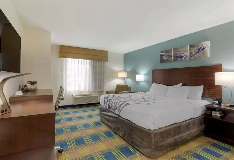 ホテル Sleep Inn & Suites Smyrna   Nashville