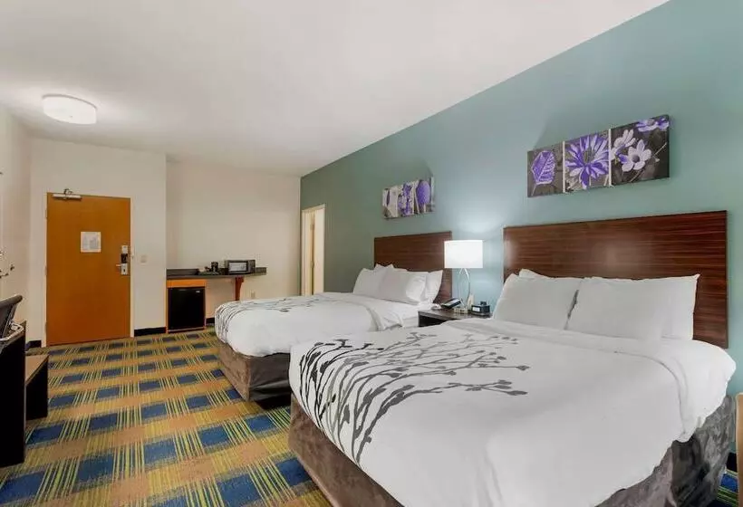 ホテル Sleep Inn & Suites Smyrna   Nashville