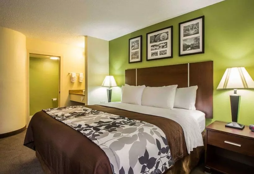 ホテル Sleep Inn Asheville Biltmore West