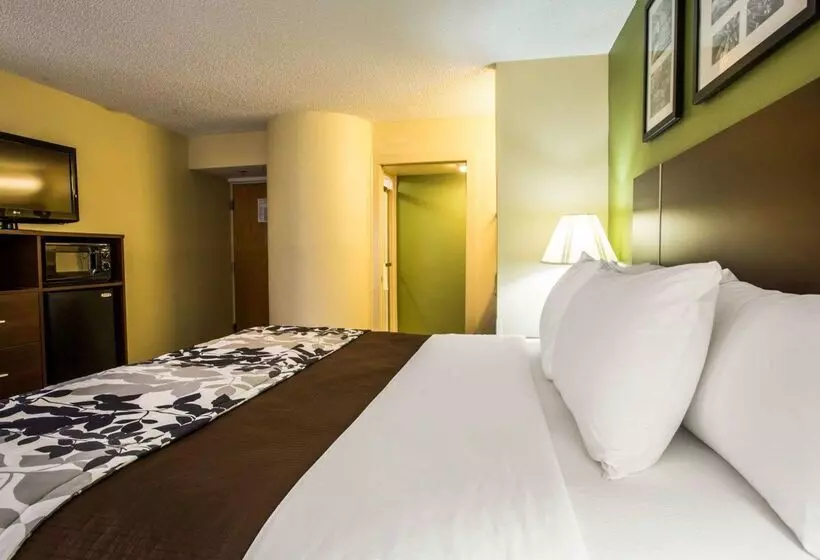 ホテル Sleep Inn Asheville Biltmore West