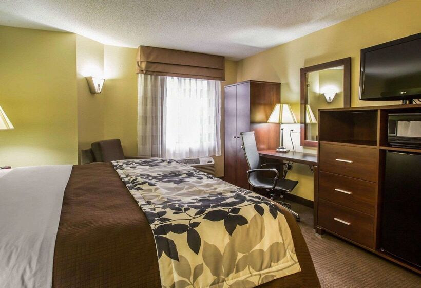 בית מלון כפרי Sleep Inn Asheville Biltmore West