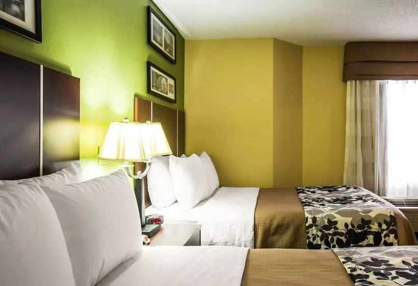 ホテル Sleep Inn Asheville Biltmore West