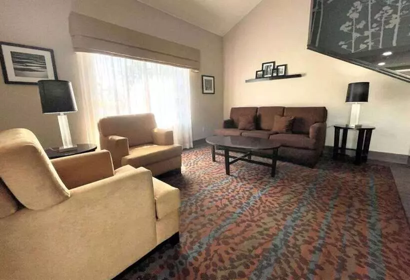 酒店 Spark By Hilton Augusta