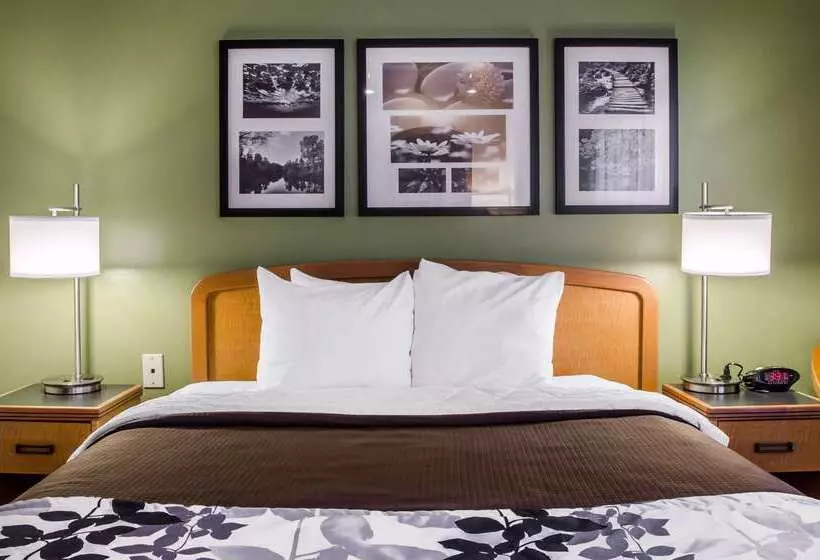 호텔 Sleep Inn & Suites