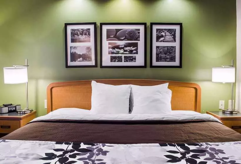호텔 Sleep Inn & Suites