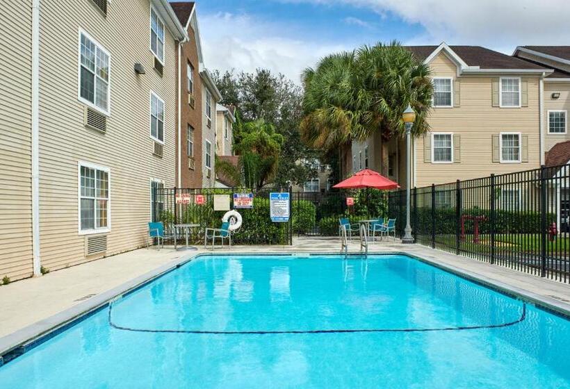 ホテル Towneplace Suites Tampa North/i75 Fletcher