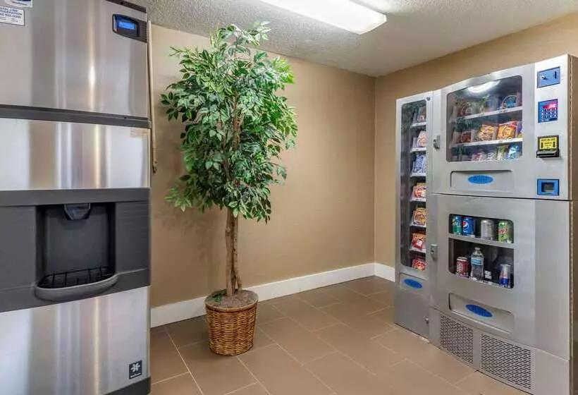 מוטל Comfort Inn