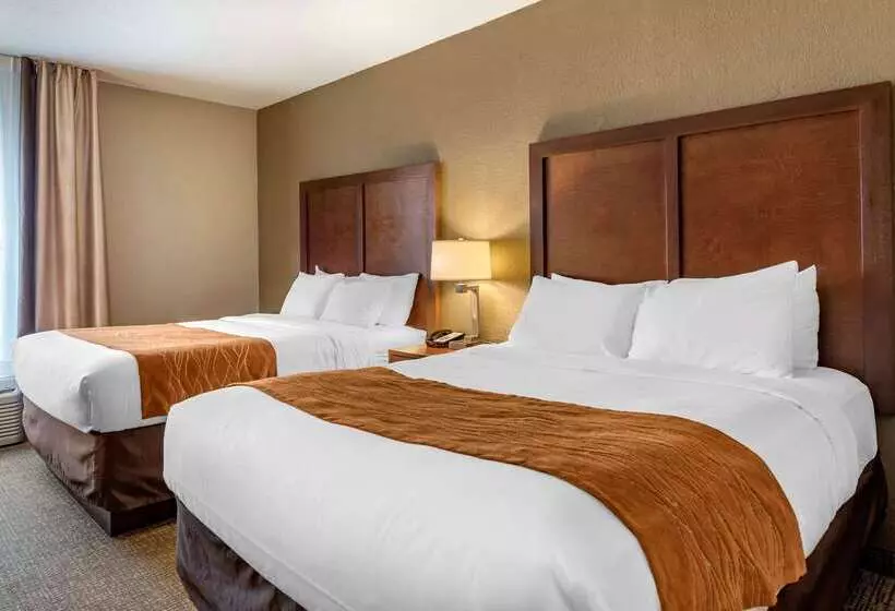 מוטל Comfort Inn