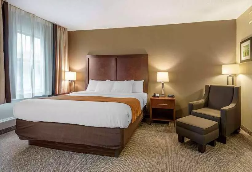 מוטל Comfort Inn