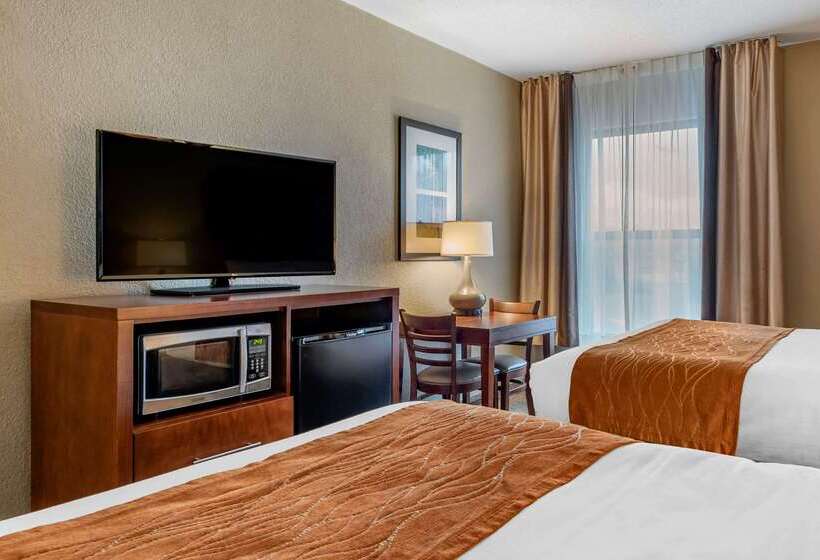 汽车旅馆 Comfort Inn