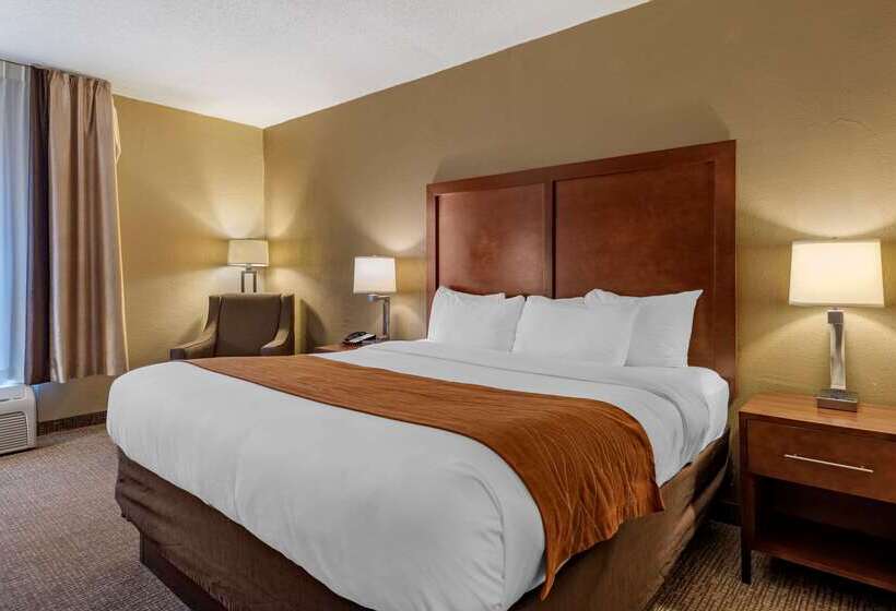 汽车旅馆 Comfort Inn