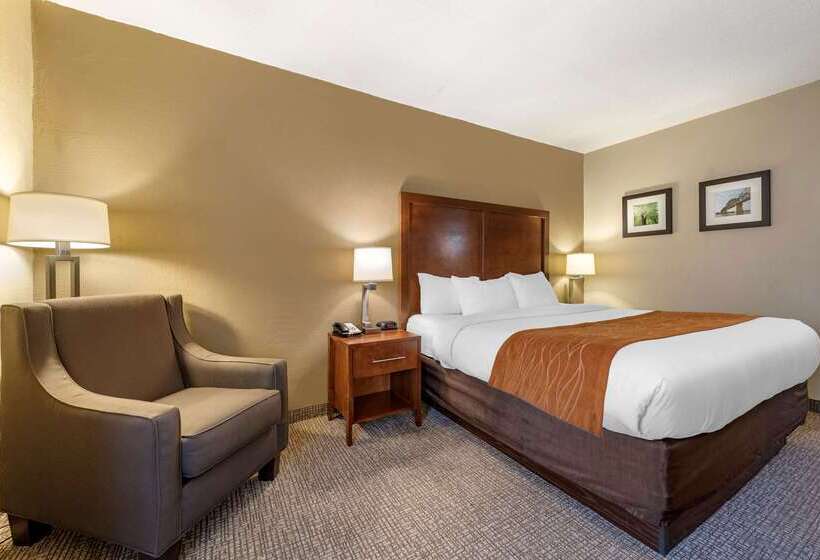 汽车旅馆 Comfort Inn