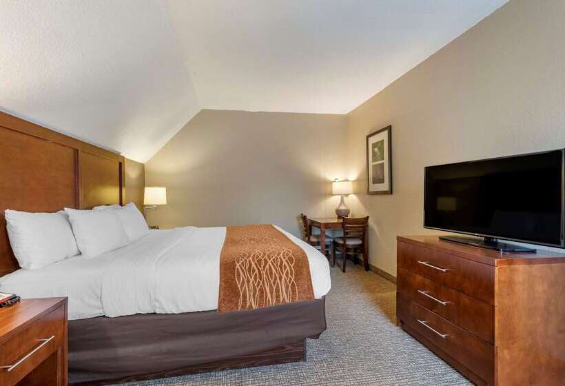 汽车旅馆 Comfort Inn