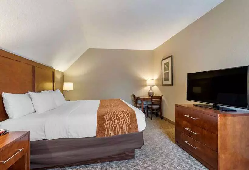מוטל Comfort Inn
