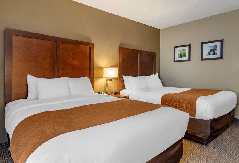 汽车旅馆 Comfort Inn