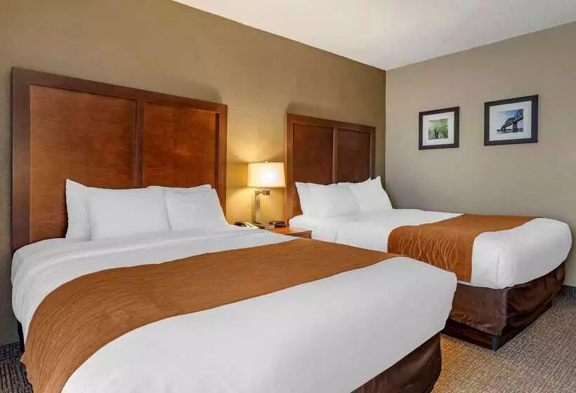 מוטל Comfort Inn