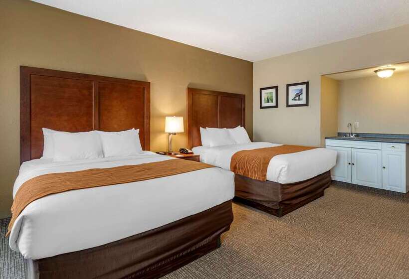 汽车旅馆 Comfort Inn