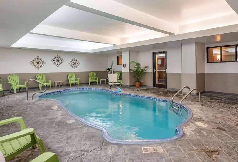 汽车旅馆 Comfort Inn