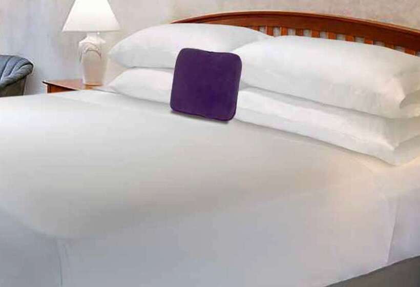 汽车旅馆 Knights Inn & Suites Dublin