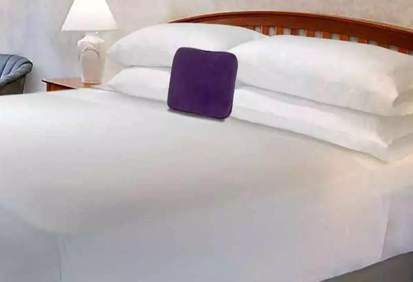 汽车旅馆  Knights Inn & Suites Dublin