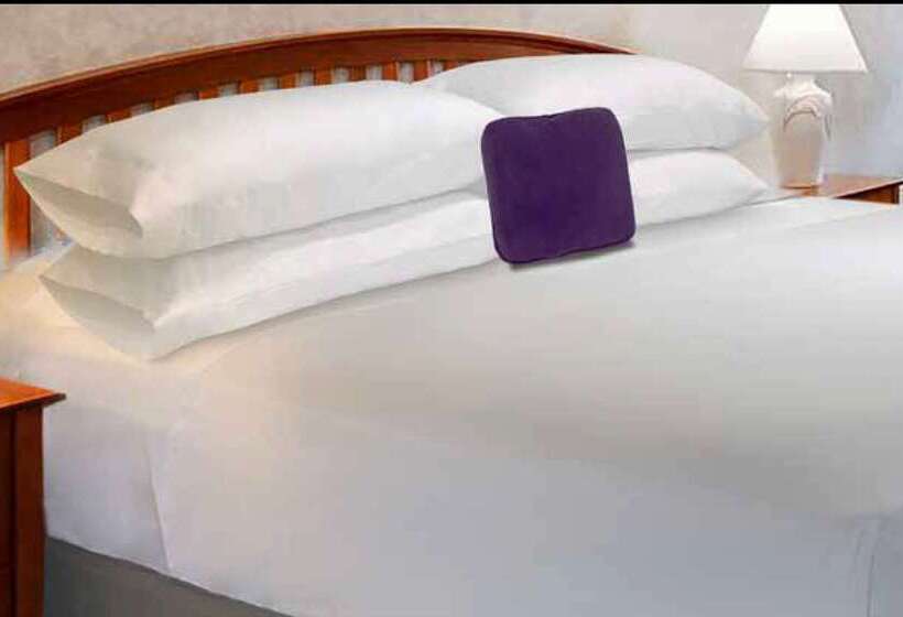 汽车旅馆 Knights Inn & Suites Dublin