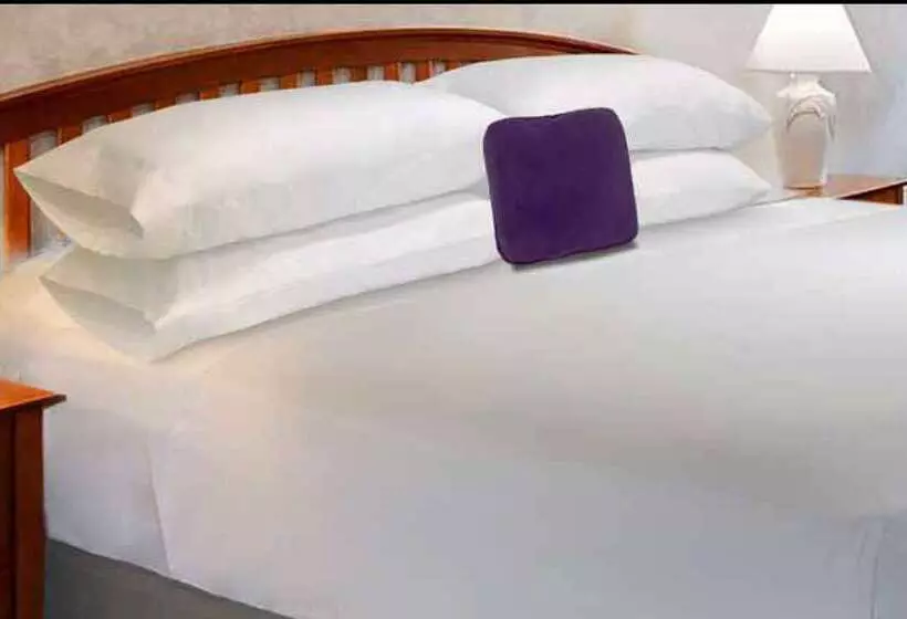 汽车旅馆  Knights Inn & Suites Dublin