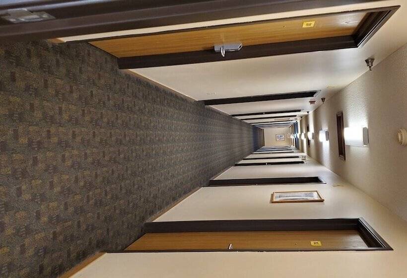 汽车旅馆 St Paul Inn