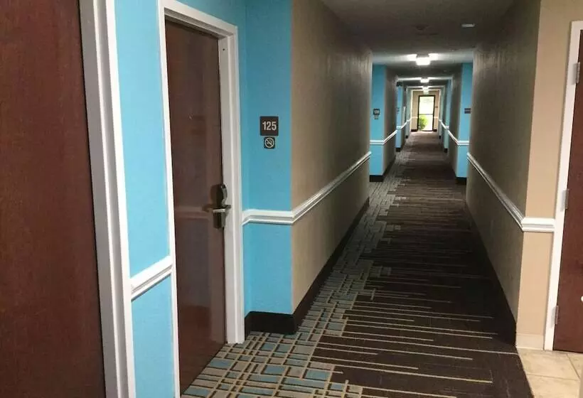 مُتل Super 8 By Wyndham Greer/spartanburg Area