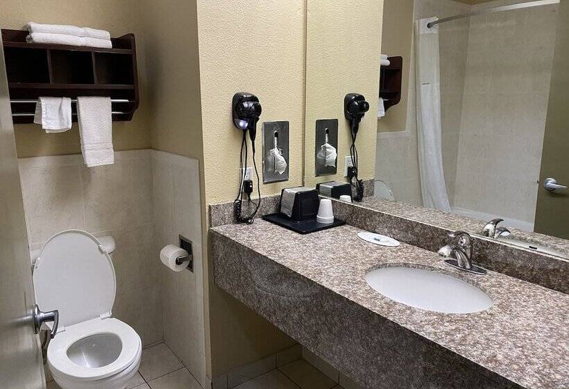 فندق على الطريق Red Lion Inn & Suites Iah Airport East