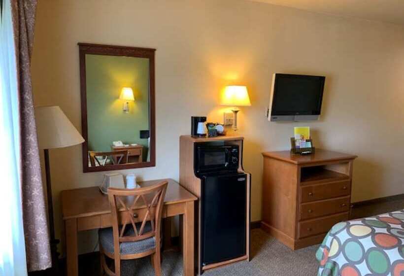 汽车旅馆  Super 8 By Wyndham Perryville