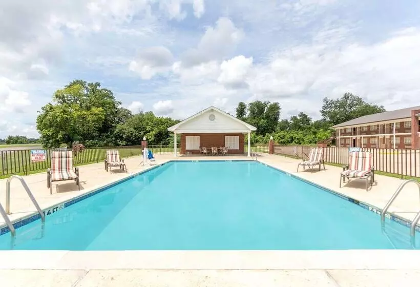 汽车旅馆 Super 8 By Wyndham Tallulah La