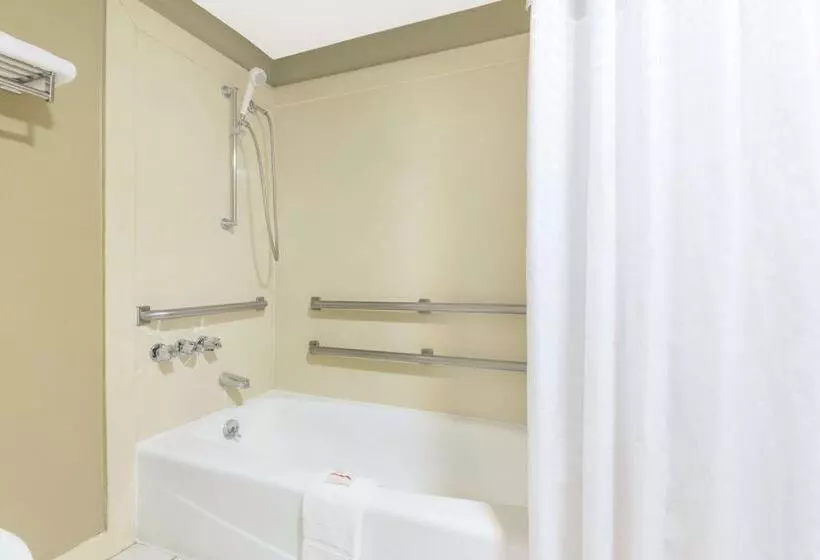 汽车旅馆 Super 8 By Wyndham Tallulah La