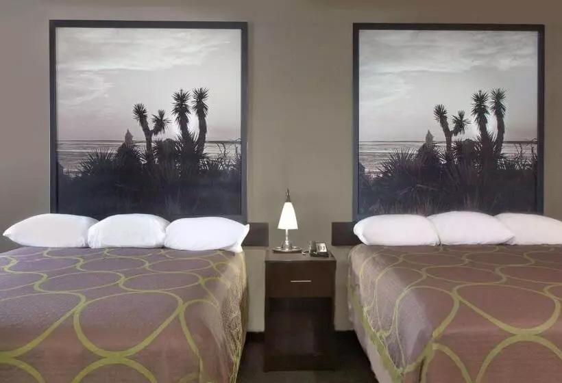 汽车旅馆  Super 8 By Wyndham Victoria/north/mall Area