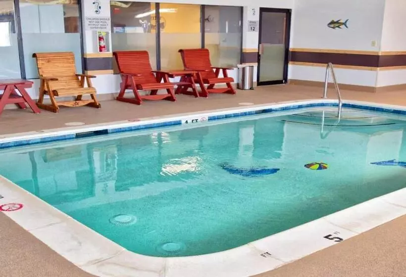 汽车旅馆  Super 8 By Wyndham Victoria/north/mall Area