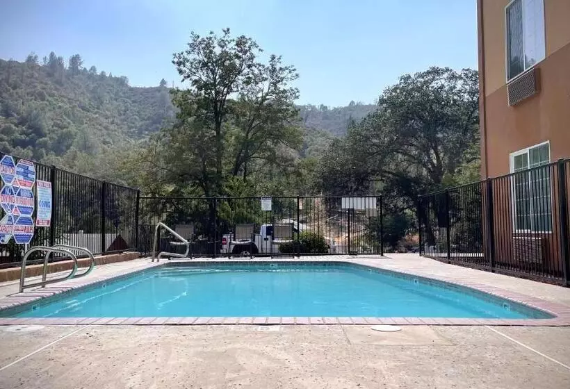 汽车旅馆 The Monarch Inn