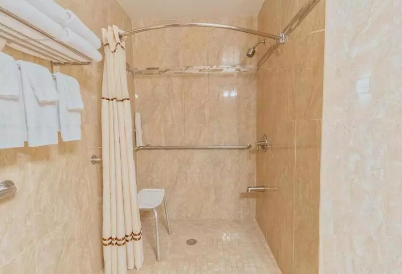 汽车旅馆 The Monarch Inn