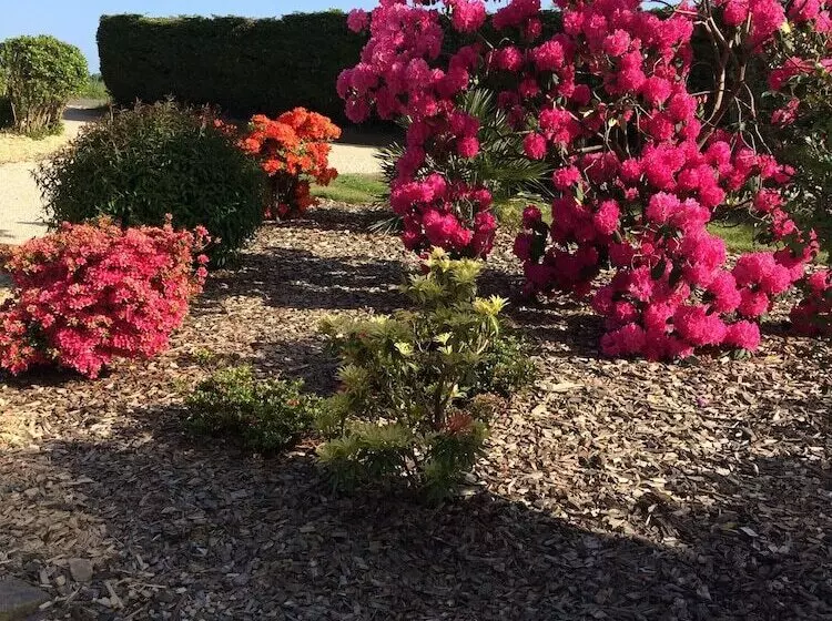 Aamiaismajoitus (B&B) Chambres D Hôtes Saint Maleu Dinan