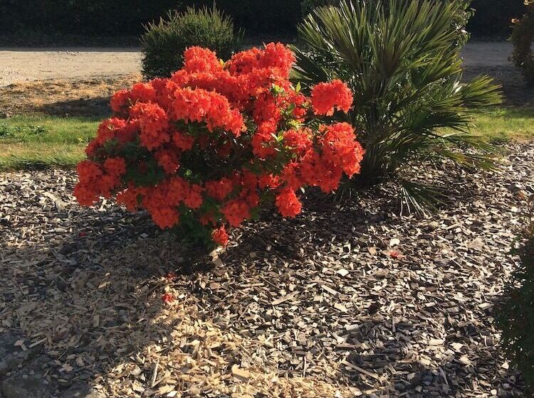 مبيت وإفطار Chambres D Hôtes Saint Maleu Dinan