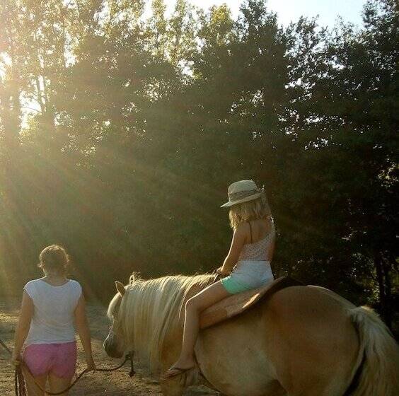 مبيت وإفطار Domaine De La Velle