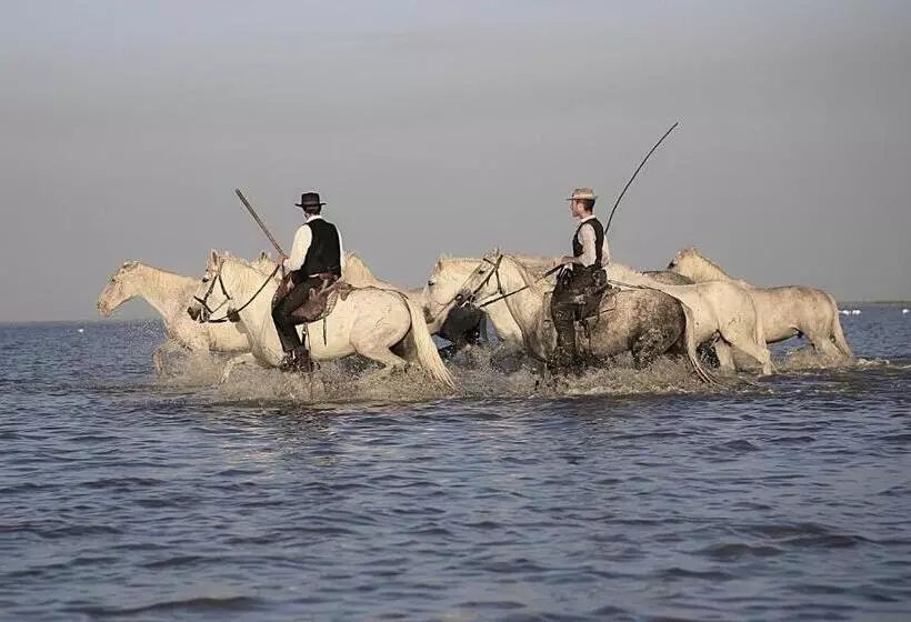 ベッドアンドブレックファースト Le Mas Des Sages