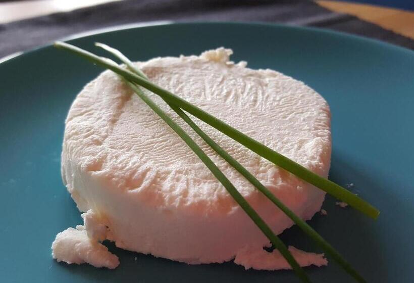 ベッドアンドブレックファースト Le Mas Des Sages