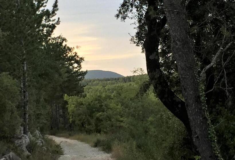 ベッドアンドブレックファースト Le Mas Des Sages