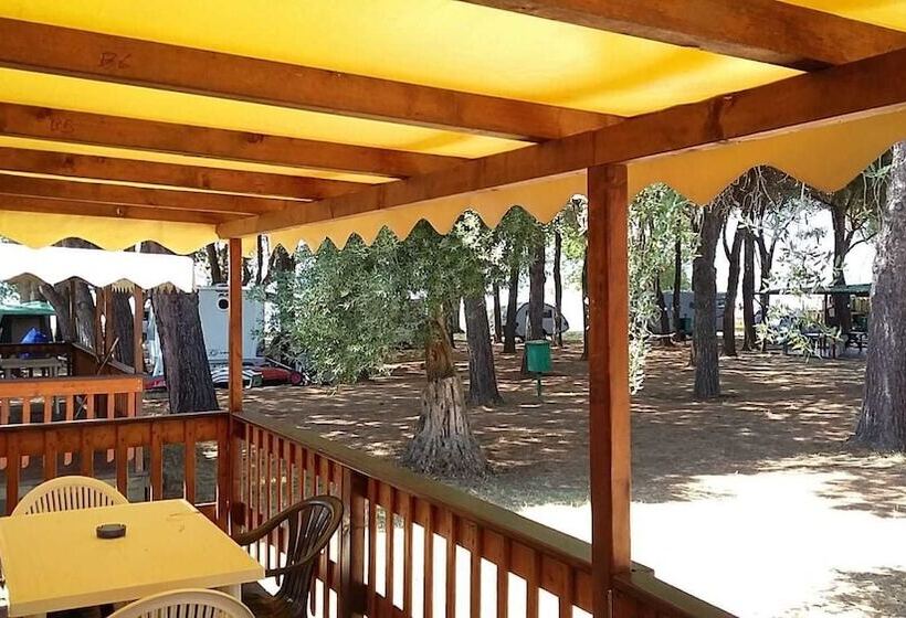 酒店 Camping Eden Park