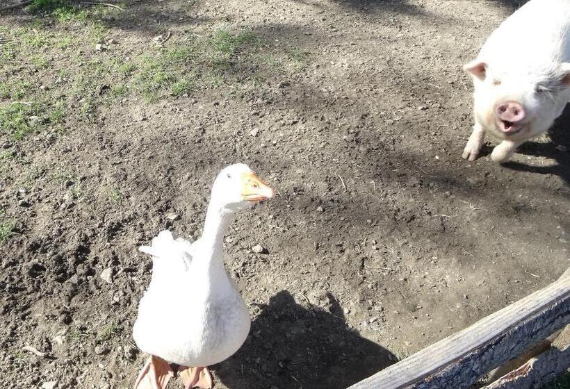 Le Mas Du Galibot Chambre Cambalotte