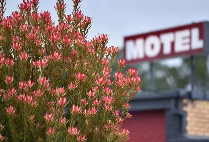 モーテル Edenhope Motor Inn