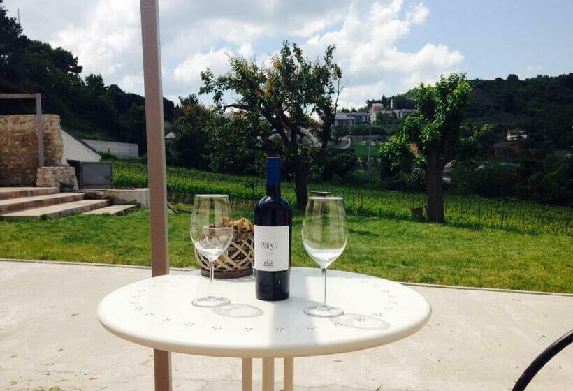 ペンション Bed & Wine Rocco Zambri